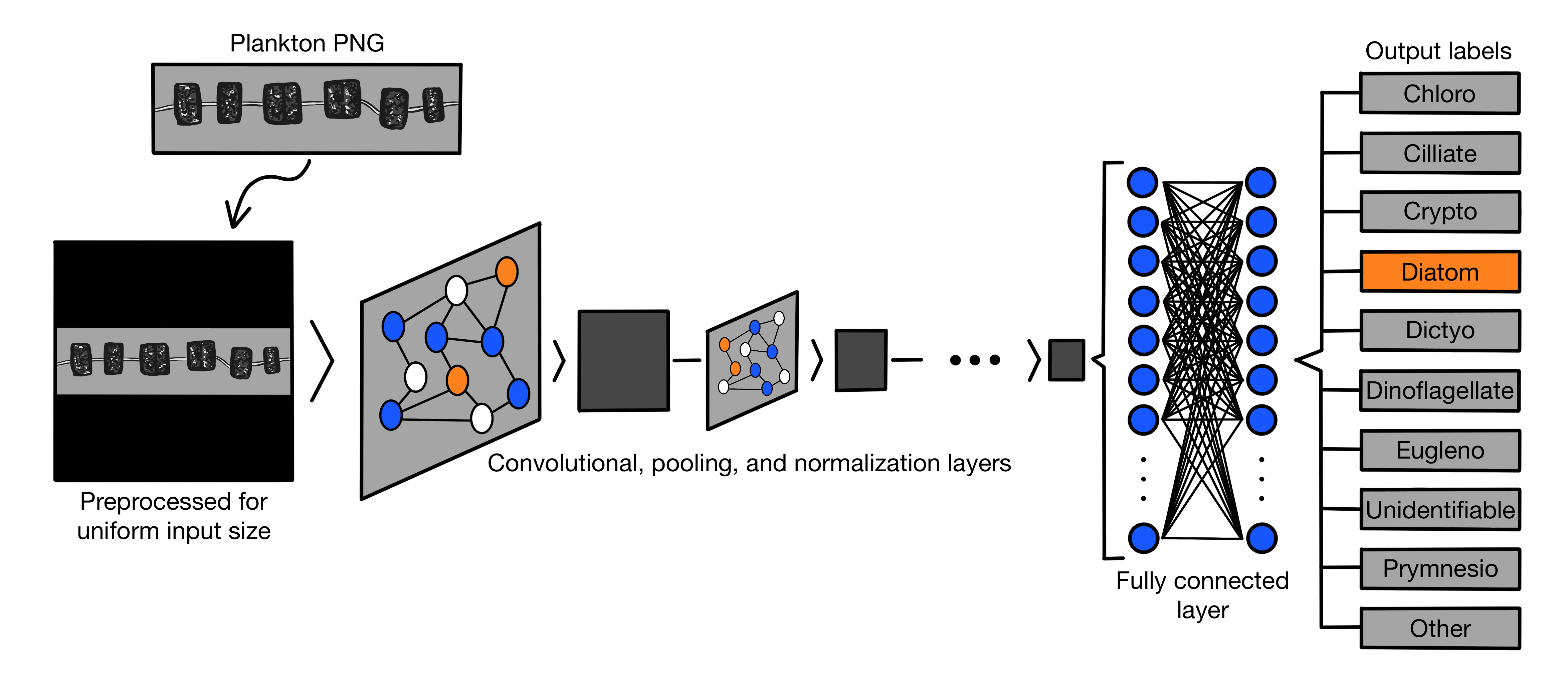 CNN_Diagram